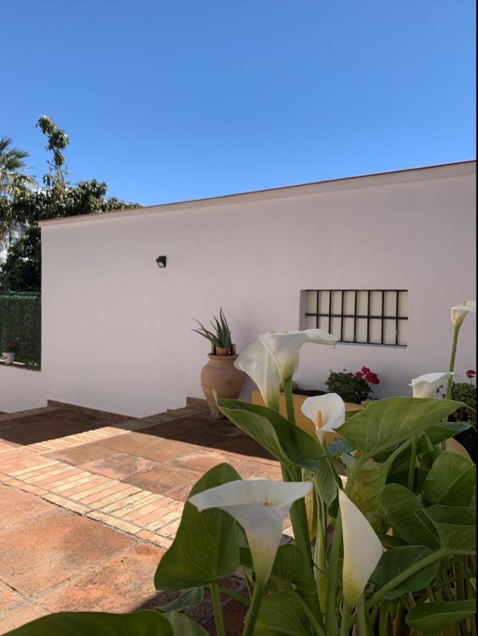 A Estrenar Preciosa Suite-Centrico-Con Jardin Y Porche Torremolinos Exterior photo